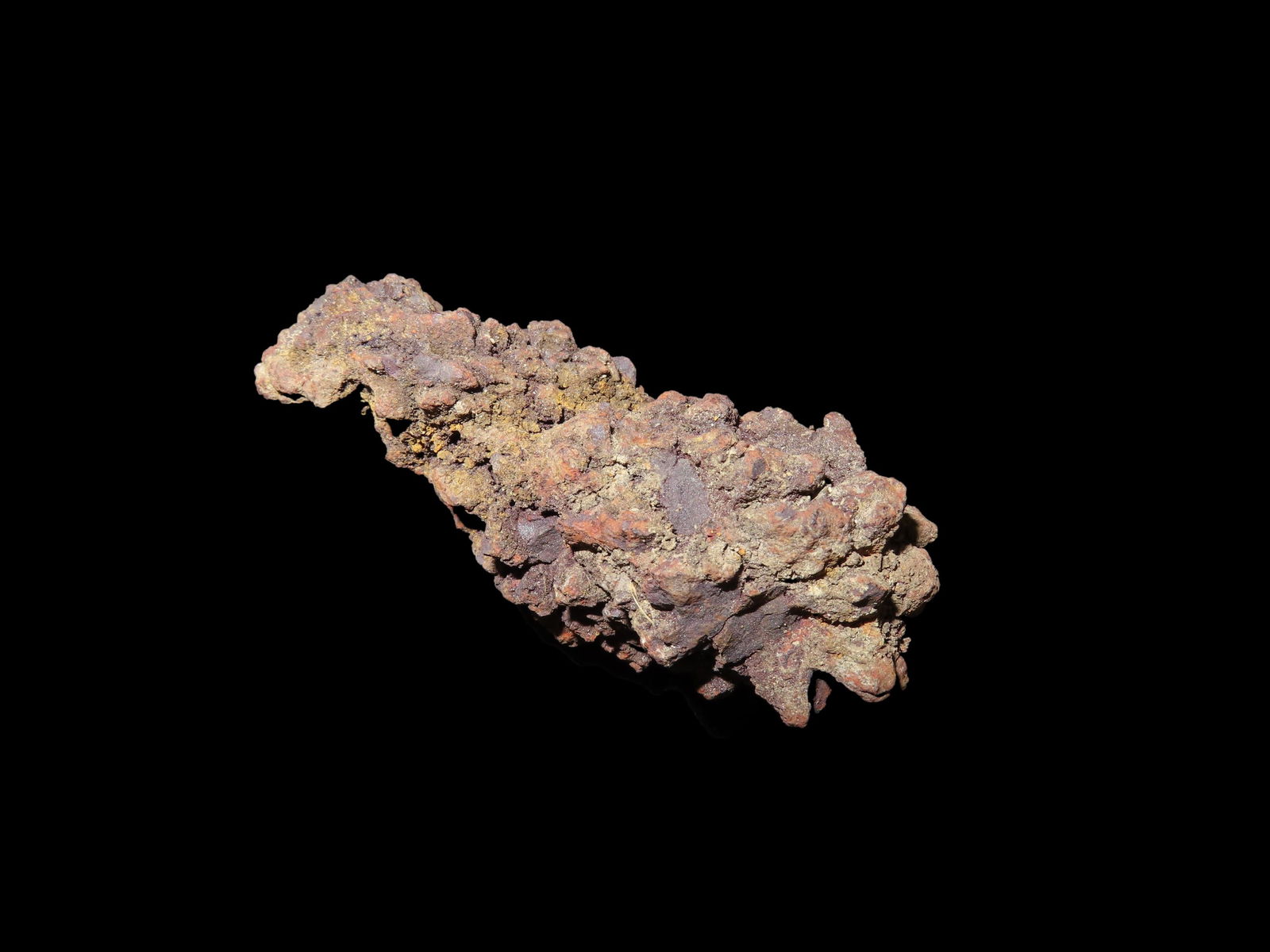 Coprolite Fossil Dinosaur Poop 100 Million Years Old Madagascar: Coprolite Fossil Dinosaur Poop 100 Million Years Old Madagascar