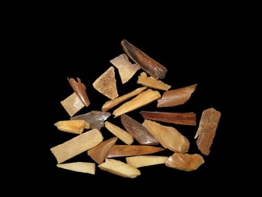 Grouping Of Walrus Bone Eskimo Tools Found Along The Alaska Coast And Rivers