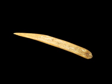 3 5/8" Bone Needle Mandan Arikara Morton Co South Dakota