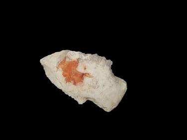 2 5/16" x 1 3/8" Stone Square Stem, Motley COA, found in Greene Co., Missouri, Ex Terry Allen