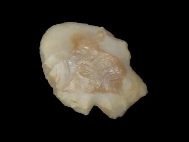 2" x 1 1/2" Johnson, Motley COA, found in Greene Co., Missouri, Ex Terry Allen Collection