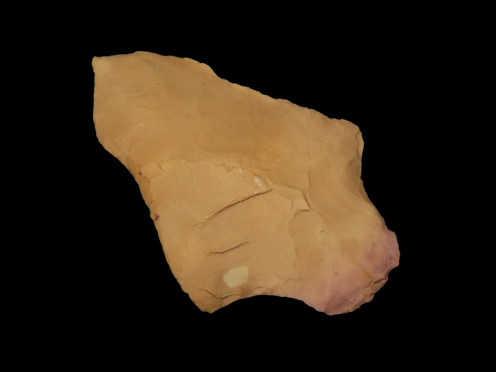 2 9/16" x 1 5/8" Afton, Motley COA, found in Greene Co., Missouri, Ex Terry Allen Collection: 2 9/16" x 1 5/8" Afton, Motley COA, found in Greene Co., Missouri, Ex Terry Allen Collection