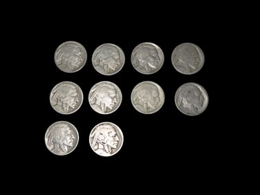 10 Select Indian Head Buffalo Nickels