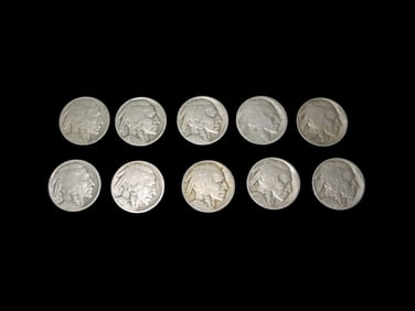 Indian Head Buffalo Nickels 10 Count