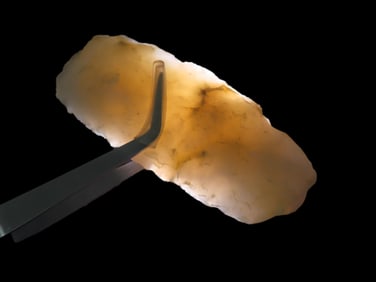 3" 1/4 x 1" 1/4 Chalcedony Chert Celt Central Wyoming