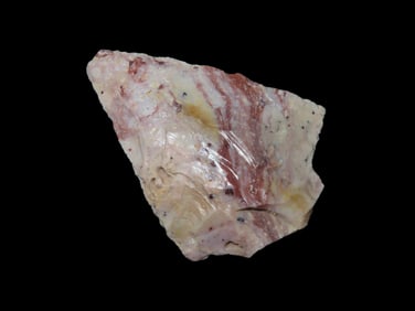 2" 3/8 x 1" 3/4 Quality Arrowhead Found In Florida EX: Ray Fraser