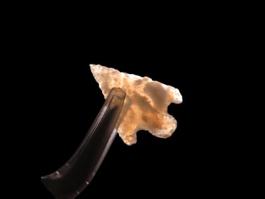 Gem Grade Agete Bird Point Found In Southern Colorado 2 Bags