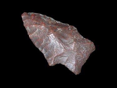 2" 1/4 x 1" 1/4 River Stained Savannah River Found In Georgia Florida