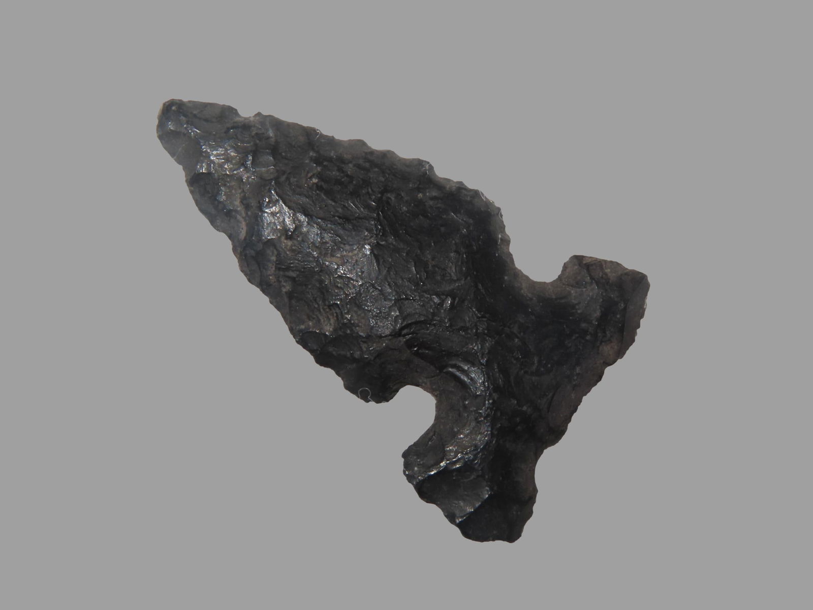 1" 5/8 x 7/8" Northern Wolf Ear Obsidian Arrowhead Lake County Oregon (1 of 4)