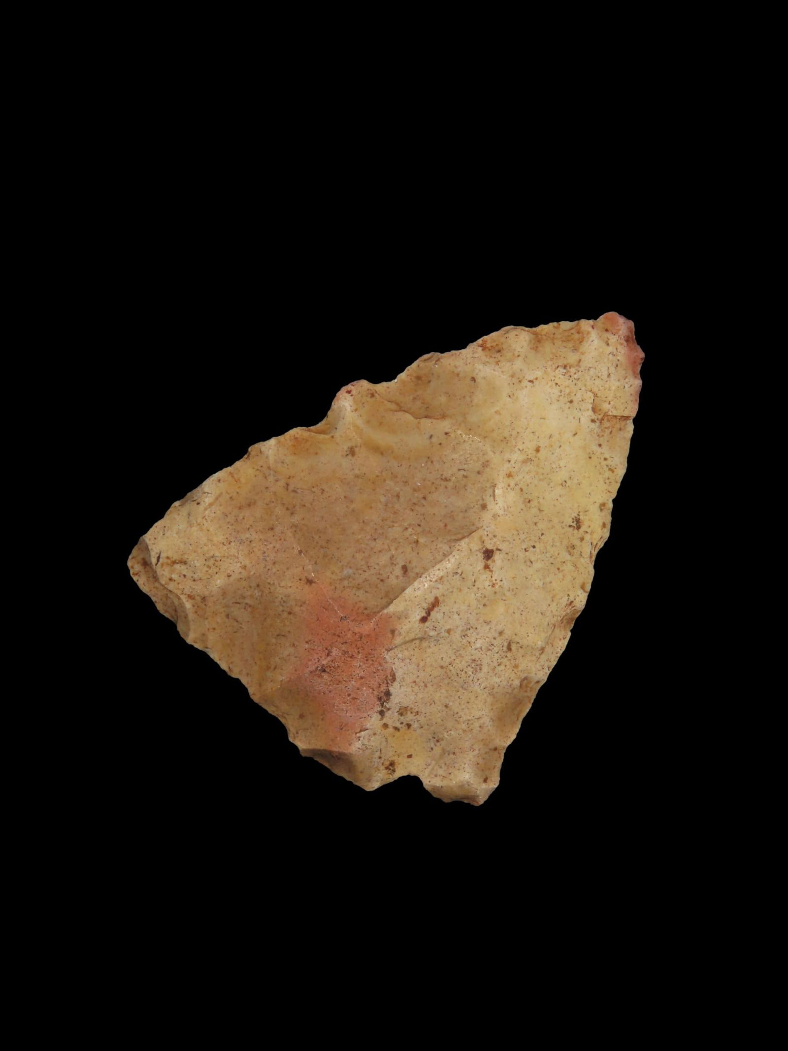 2" 1/4 x 1" 5/8 Quality Arrowhead Found In Florida EX : Ray Fraser (1 of 4)