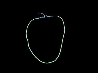 Trade Beans Seed Style Southwest USA EX: Derosar