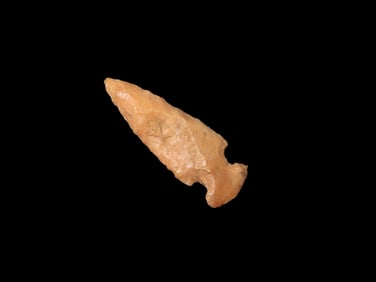 1" 1/16 Bird Point Mississippian Lee Co Arkansas