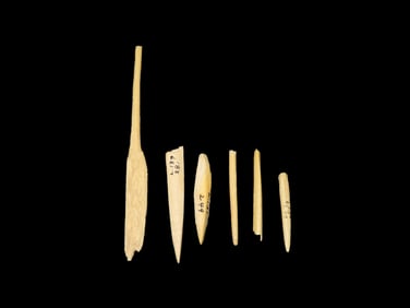 Selection Of 5 Bone Awls Needles Tennessee