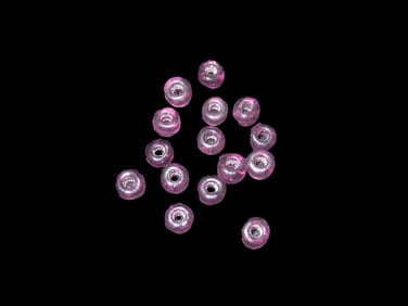 Purple Glass Trade Beads Found In Georgia Cache 15