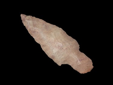 2" 1/2 x 7/8"  Turkey Tail Kentucky EX: Walt McIntire Collection