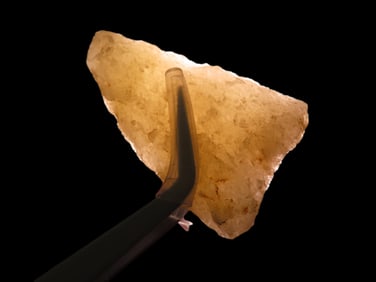 1" 3/4 x 1" Fluted Clovis White Quartz East Coast Site Collector Marked BGHB