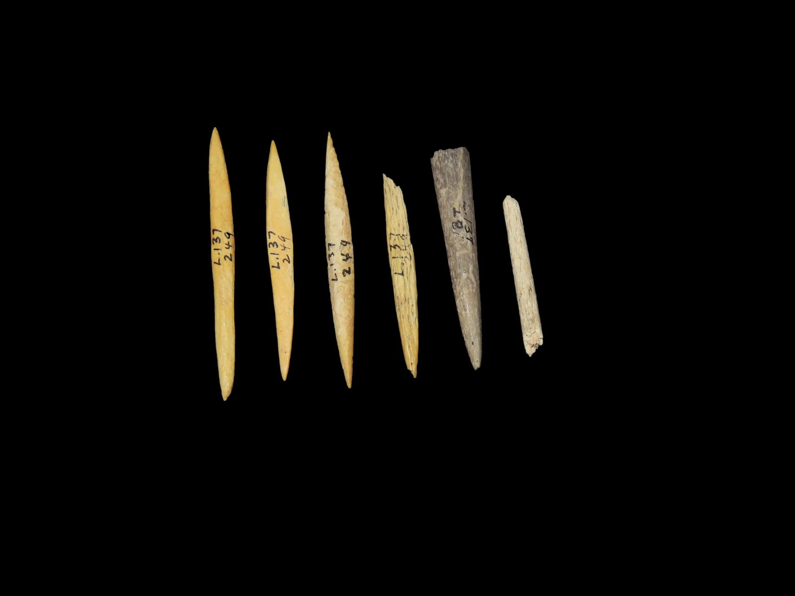 Selection Of 5 Bone Awls Needles Tennessee: Selection Of 5 Bone Awls Needles Tennessee