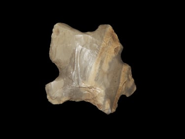 1" 1/2 x 1" 1/4 Wild Eccentric Miller Co Missouri EX: Hamner