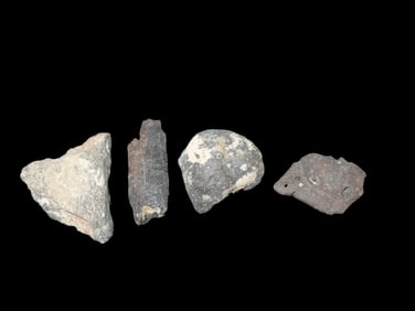 Collection Of Fossil Off Whale Bone Found Off The Coast Of Florida Millions Of Years Old