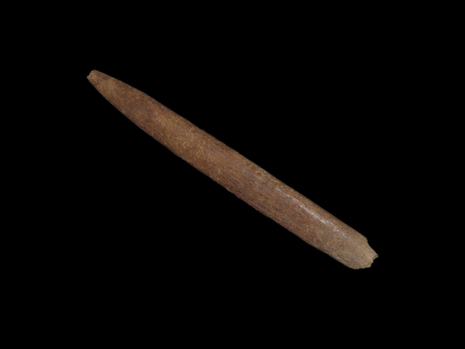 3" 7/8 Bone Awl Found In Marion Co Mo: 3" 7/8 Bone Awl Found In Marion Co Mo