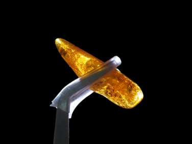 1" 1/2 Fossil Amber Found In Europe Private Collection Penn