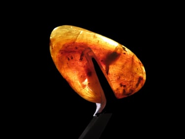 1 5/8" x 1" Fossil Amber Specimen, found in Europe, out of a Private Pennsylvania Collection
