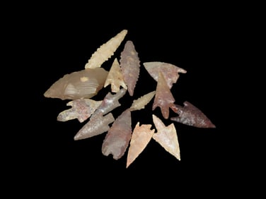 Group of 15 Neolithic Arrowheads found in the Saharan Desert