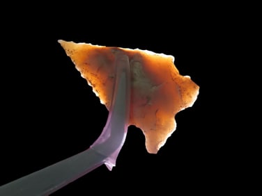 1 1/2" Needle-tip Frio, found in Central Texas