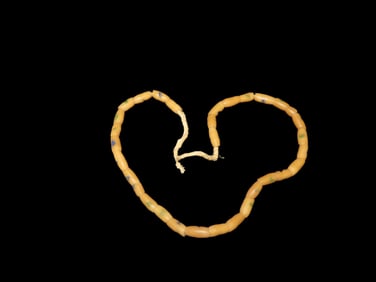 Strand of Sand Cast Trade Beads