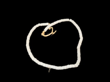 Strand of Shell Beads