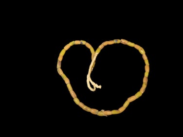 Strand of Sand Cast Trade Beads