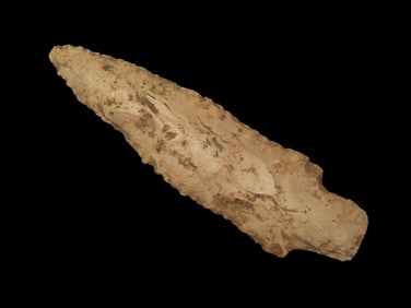 Etley - 3 1/4" L x 1" W