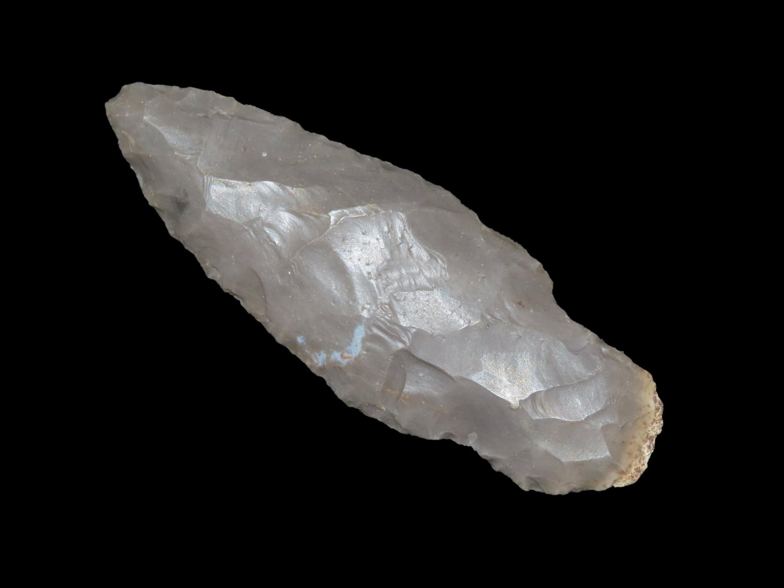 Beaver lake - 3 1/4" L x 1 1/8" W (1 of 5)