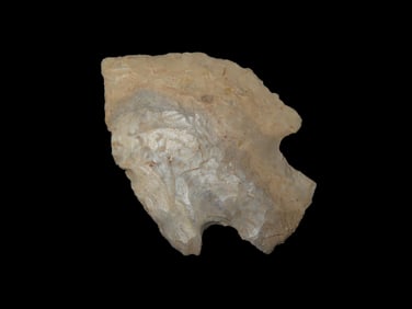 Stem Point - 2 1/4" L x 1 1/2" W