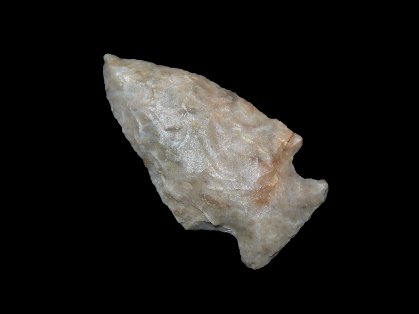 Bird point - 1 1/2" L x 3/4" W (1 of 5)