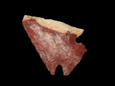 Colorful Birdpoint - 1 1/2" L x 1" W