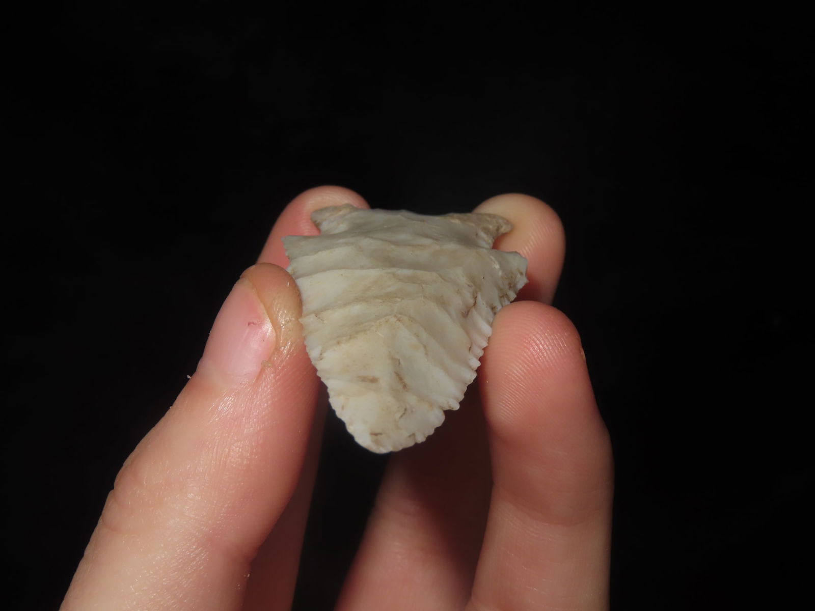 2 7/16" X 1 1/8" Hardin, Motley COA, Found in Adams County IL. - 5