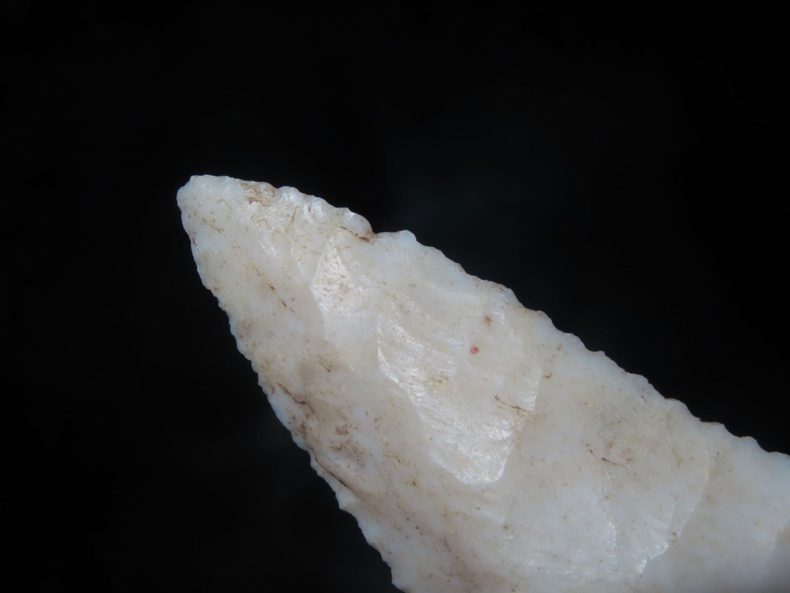 2 7/16" X 1 1/8" Hardin, Motley COA, Found in Adams County IL. - 6