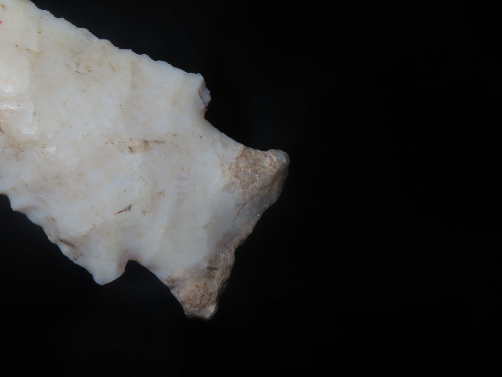 2 7/16" X 1 1/8" Hardin, Motley COA, Found in Adams County IL. - 7