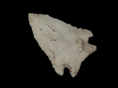 2 3/16" X 1 1/2" Neuberger, Motley COA, Found in Adams County IL.