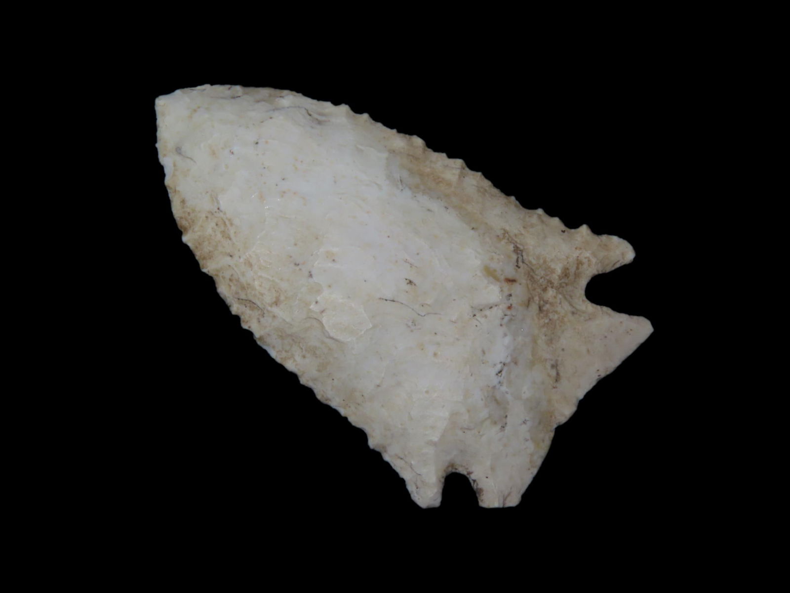 2 1/4" X 1 3/8" Neuberger, Motley COA, Found in Adams County IL.: 2 1/4" X 1 3/8" Neuberger, Motley COA, Found in Adams County IL.