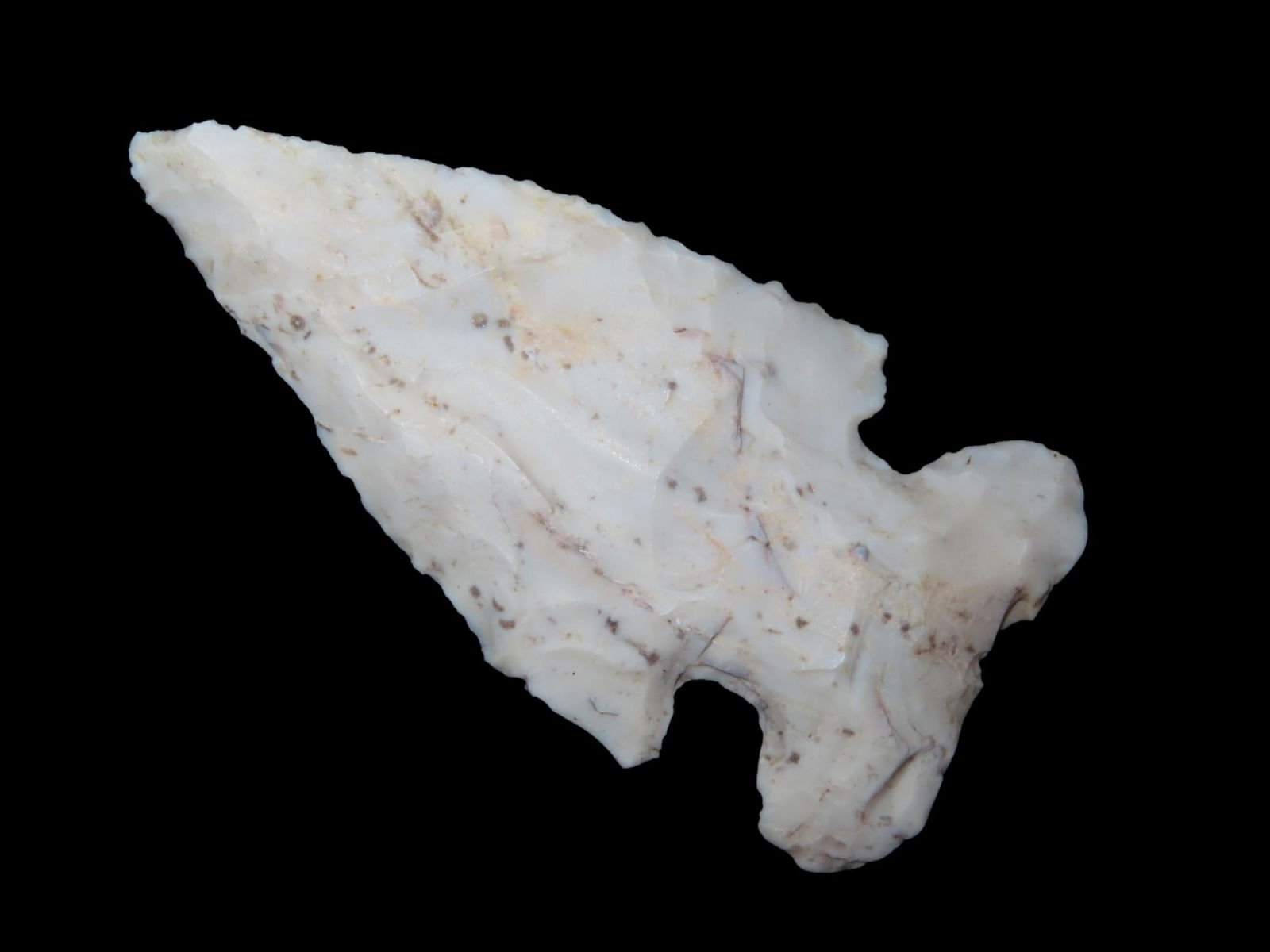 3 5/16" X 1 5/8" Thebes, Motley COA, Found in Adams County IL.: 3 5/16" X 1 5/8" Thebes, Motley COA, Found in Adams County IL.