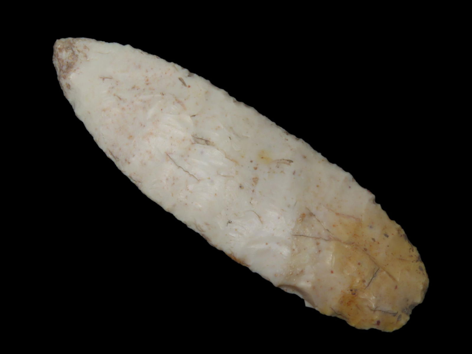 3 3/4" X 1 1/8" Angostura, Motley COA, Found in Adams County IL.: 3 3/4" X 1 1/8" Angostura, Motley COA, Found in Adams County IL.