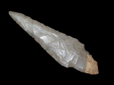 5 3/8" X 1 1/2" Turkey Tail, Motley COA, Meadows COA, Found in Indiana, Ex Herb Mangold Collection