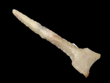 3 7/16" X 15/16" Dalton Drill, Motley COA , Found in Pettis County MO., Ex Herb Mangold Collection