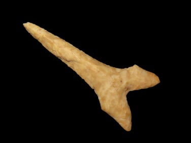 2 5/16" X 1" Dalton Drill, Motley COA, Found in Pettis County MO., Ex Herb Mangold Collection