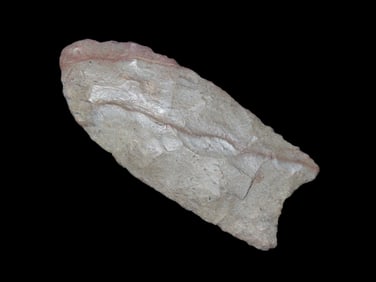 3 1/8" X 1 3/8" Clovis, Pertain COA, Royster COA, Putty COA, Found in Robertson County TN.