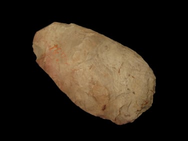 5" Fossil Megalodon Shark Tooth