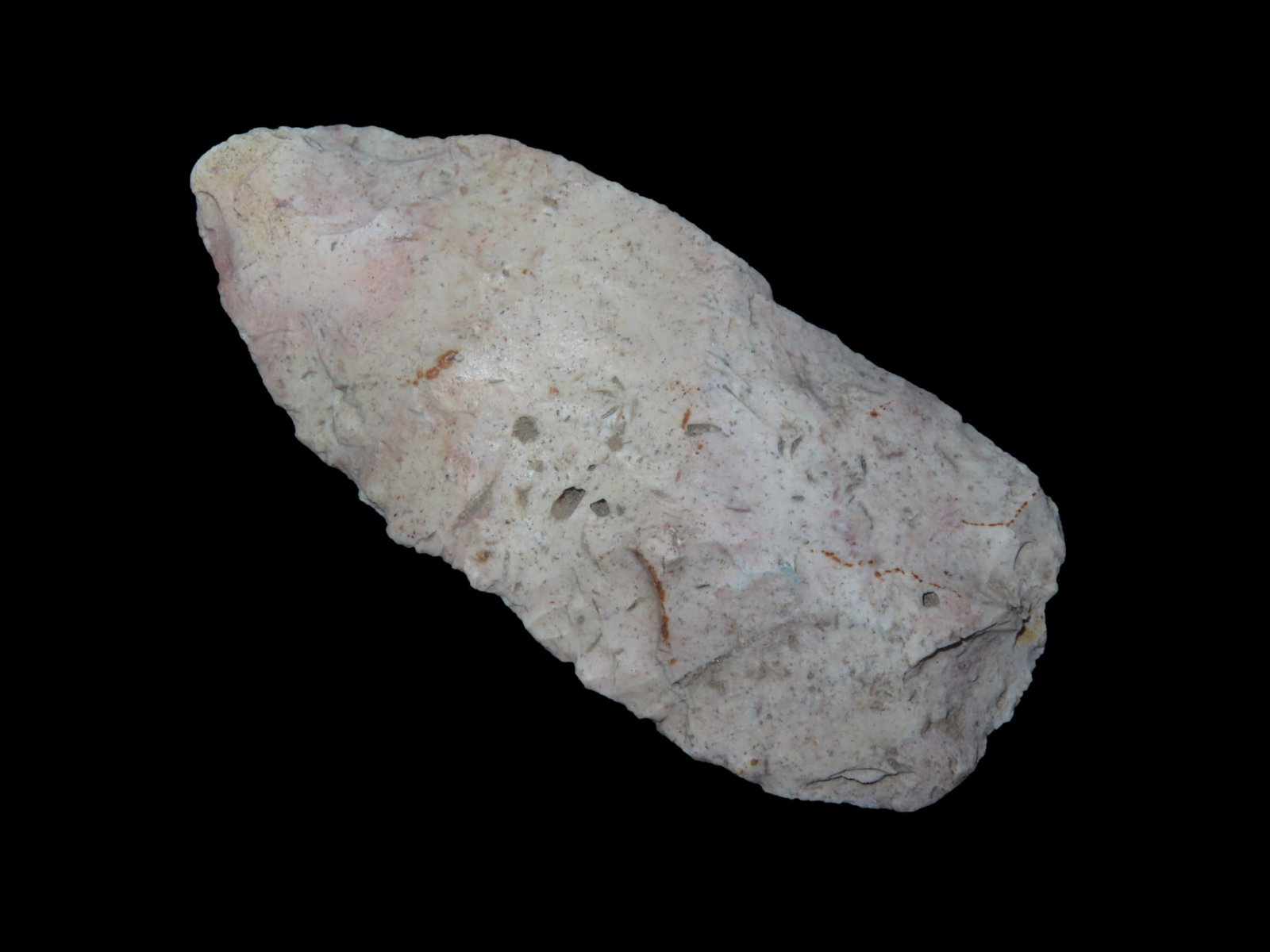 3 3/4" X 1 5/8" Blade, Found in Florida (1 of 5)