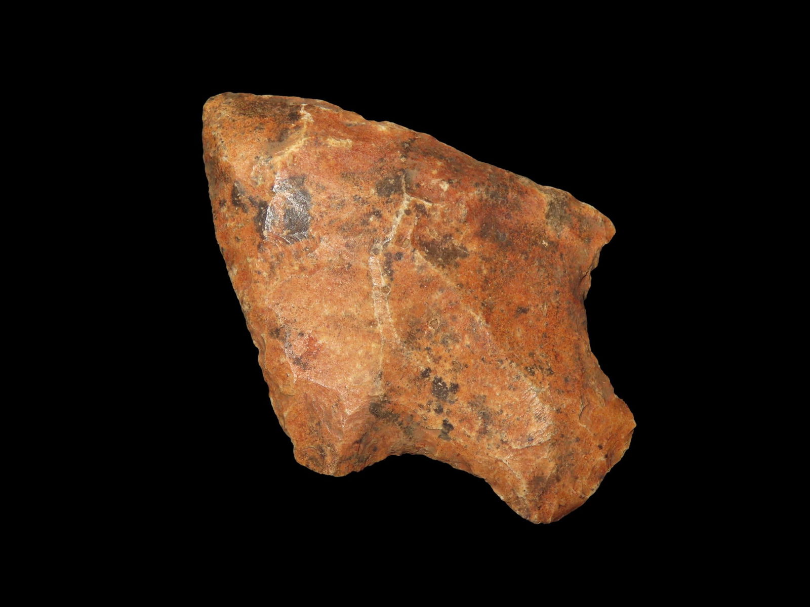 2 1/2" X 1 3/4" Newnan (1 of 5)